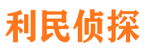 市中市私家侦探